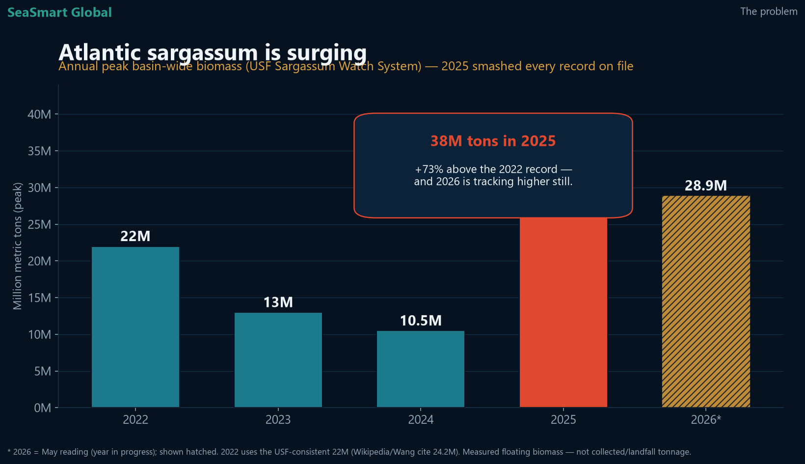 Atlantic sargassum surging to a record in 2025